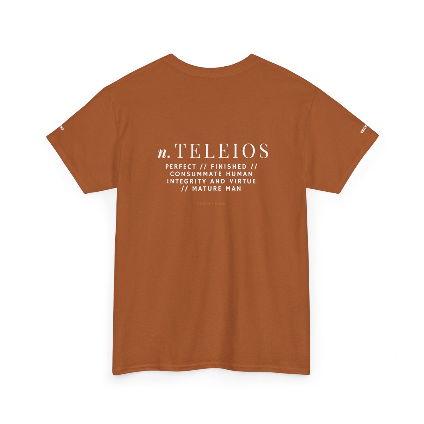 'Teleios' Unisex Minimal Graphic Tee - Christian Apparel