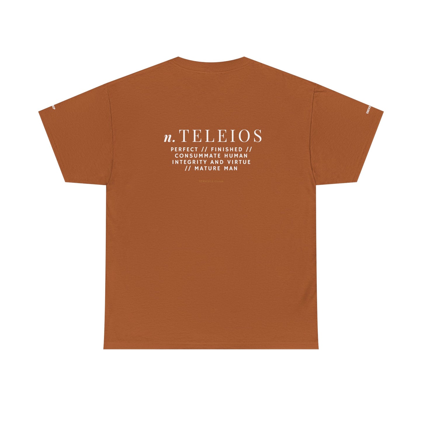 'Teleios' Unisex Minimal Graphic Tee - Christian Apparel