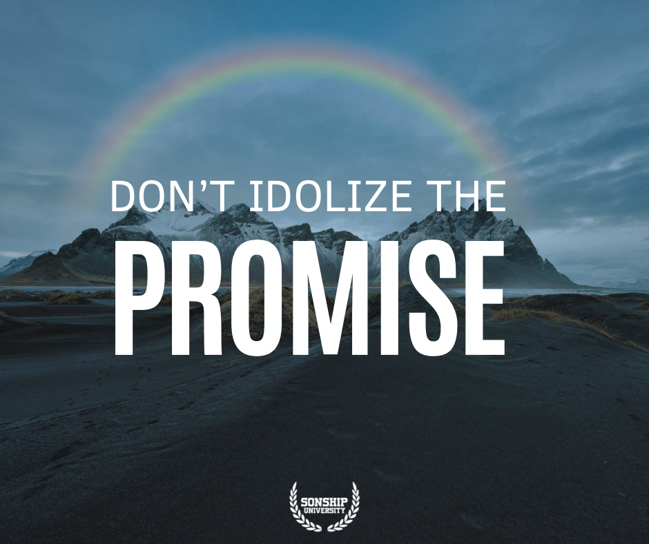 Pioneer, do NOT Idolize the Promise