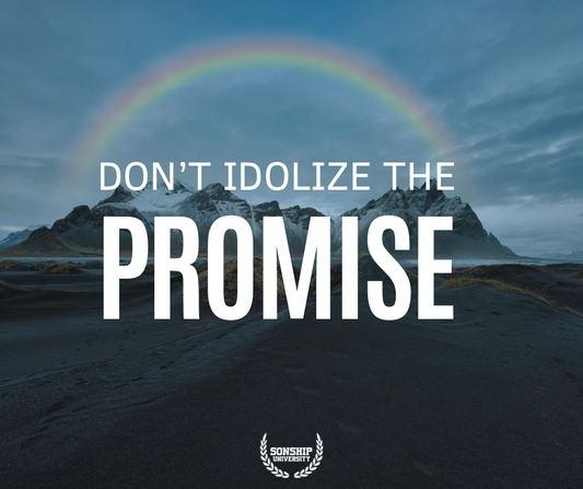 Pioneer, do NOT Idolize the Promise