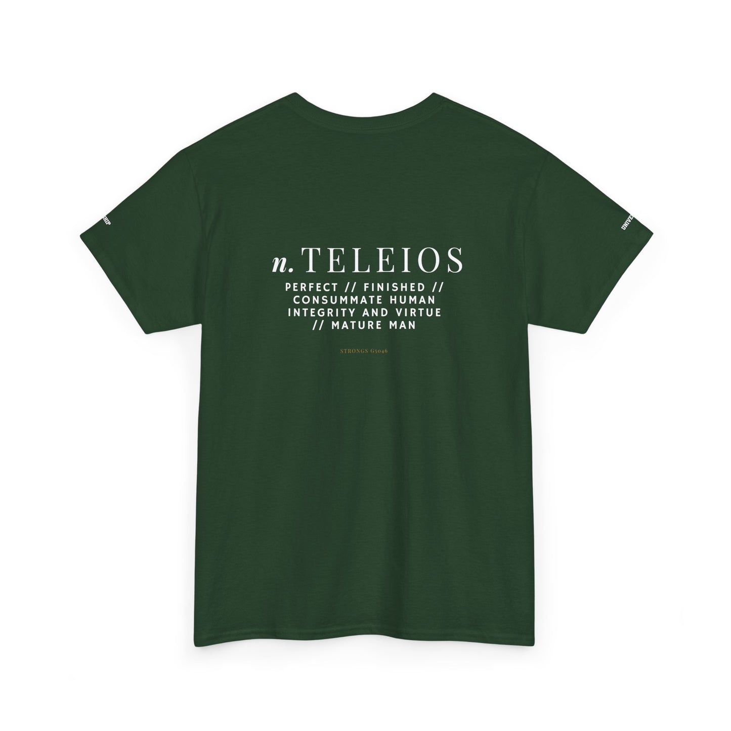 'Teleios' Unisex Minimal Graphic Tee - Christian Apparel