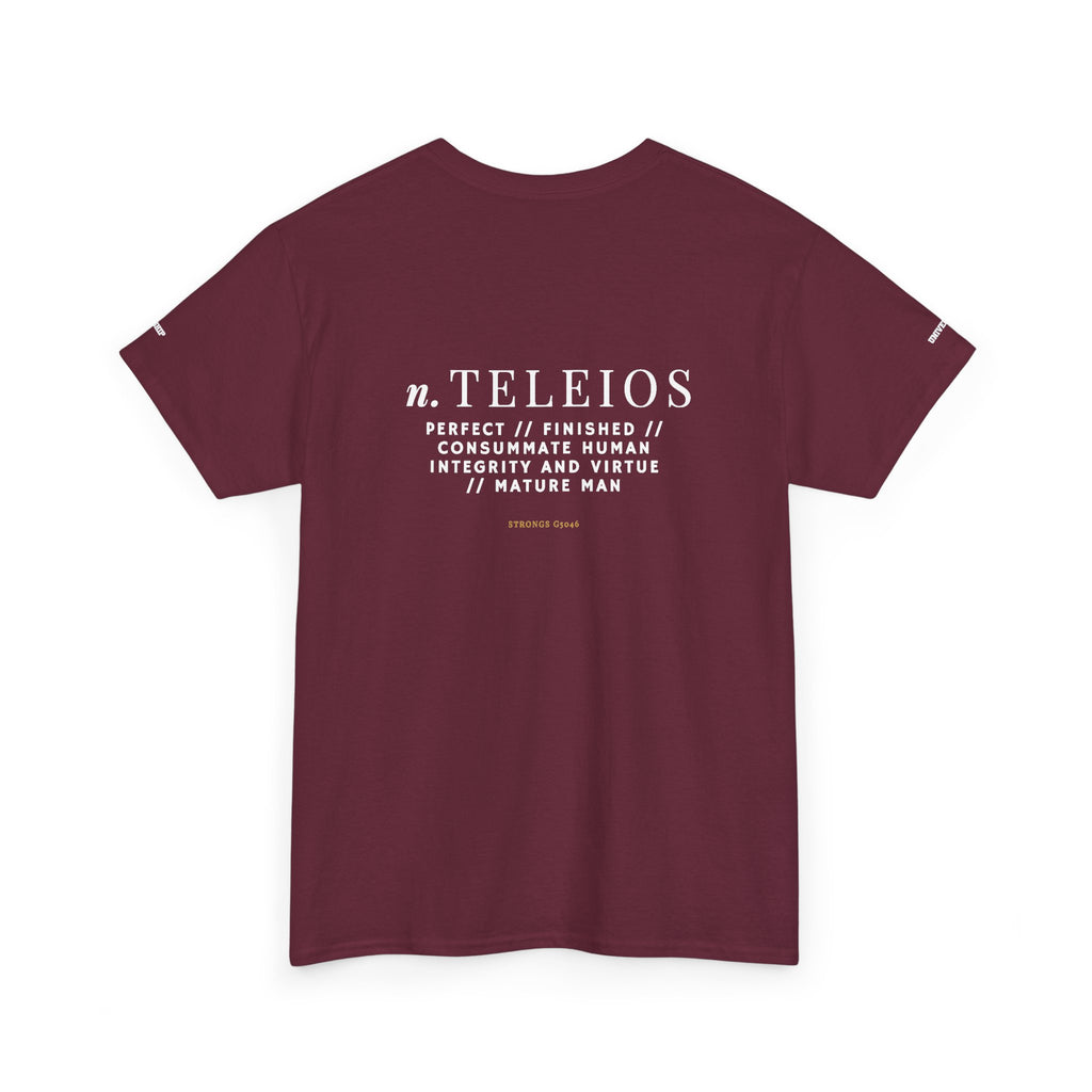 'Teleios' Unisex Minimal Graphic Tee - Christian Apparel