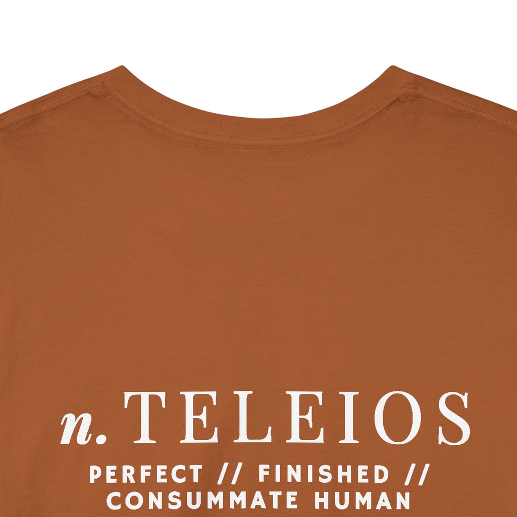 'Teleios' Unisex Minimal Graphic Tee - Christian Apparel