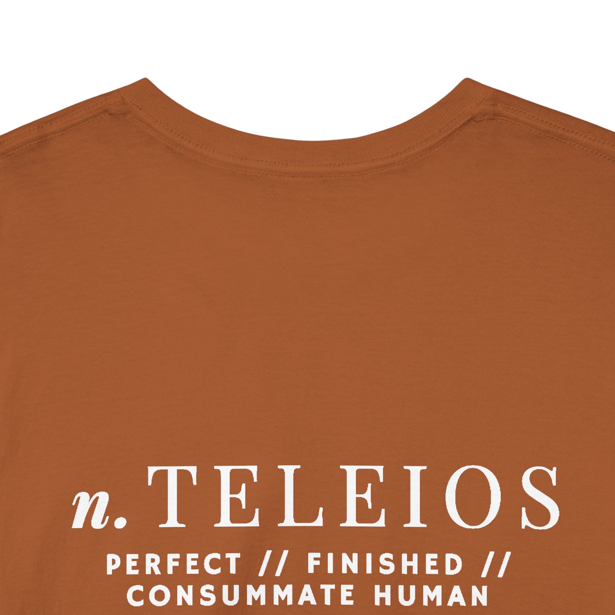 'Teleios' Unisex Minimal Graphic Tee - Christian Apparel