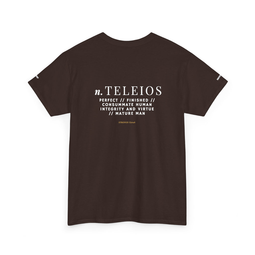 'Teleios' Unisex Minimal Graphic Tee - Christian Apparel
