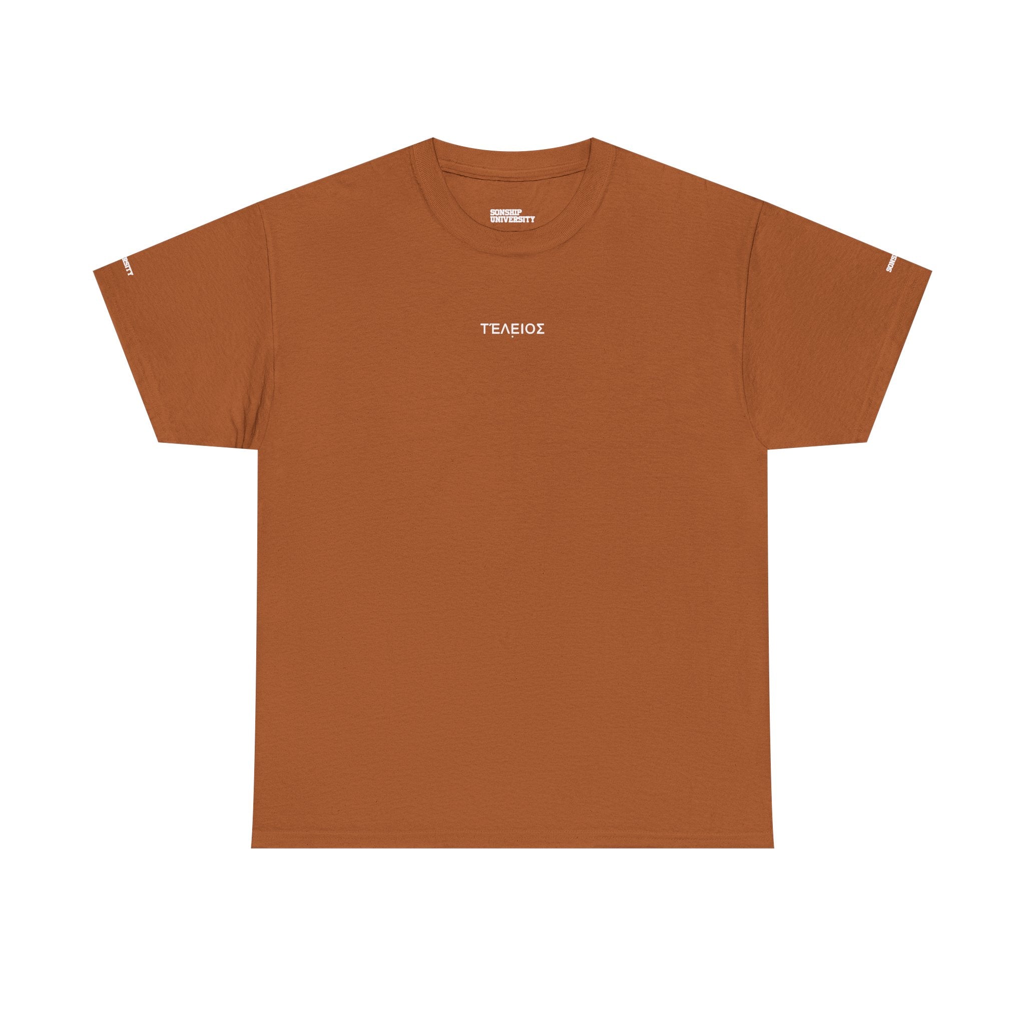 'Teleios' Unisex Minimal Graphic Tee - Christian Apparel