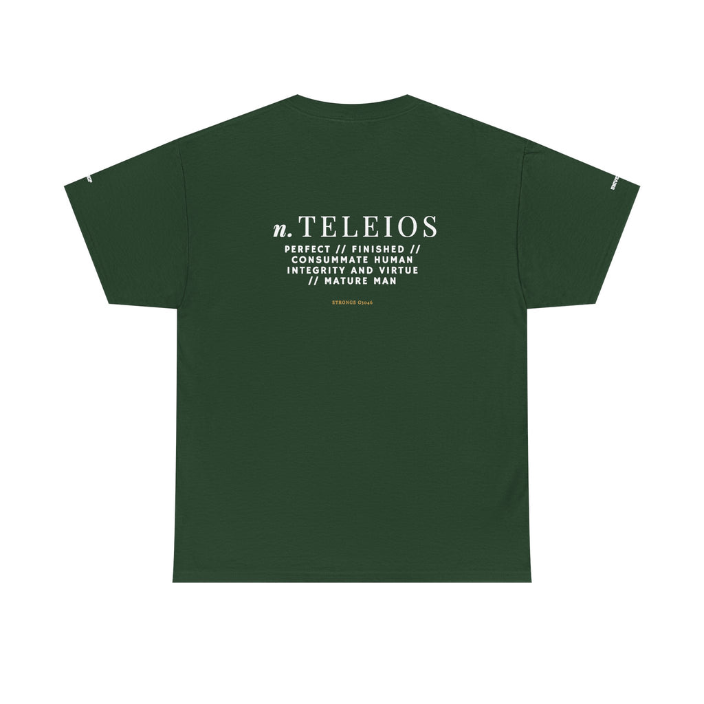 'Teleios' Unisex Minimal Graphic Tee - Christian Apparel