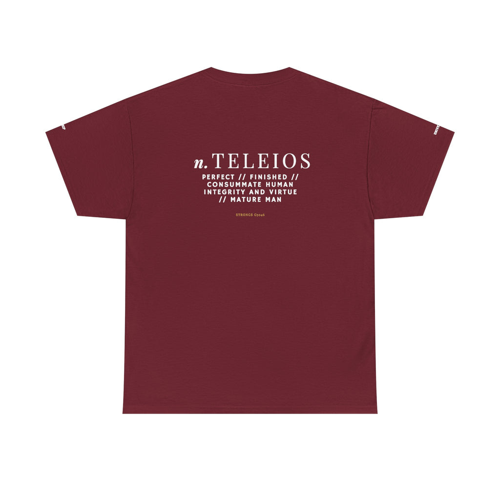 'Teleios' Unisex Minimal Graphic Tee - Christian Apparel
