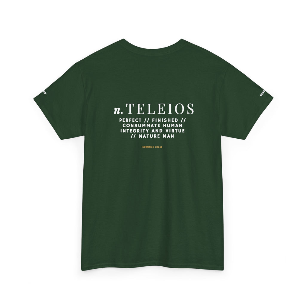 'Teleios' Unisex Minimal Graphic Tee - Christian Apparel
