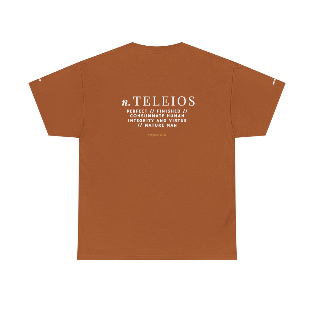 'Teleios' Unisex Minimal Graphic Tee - Christian Apparel