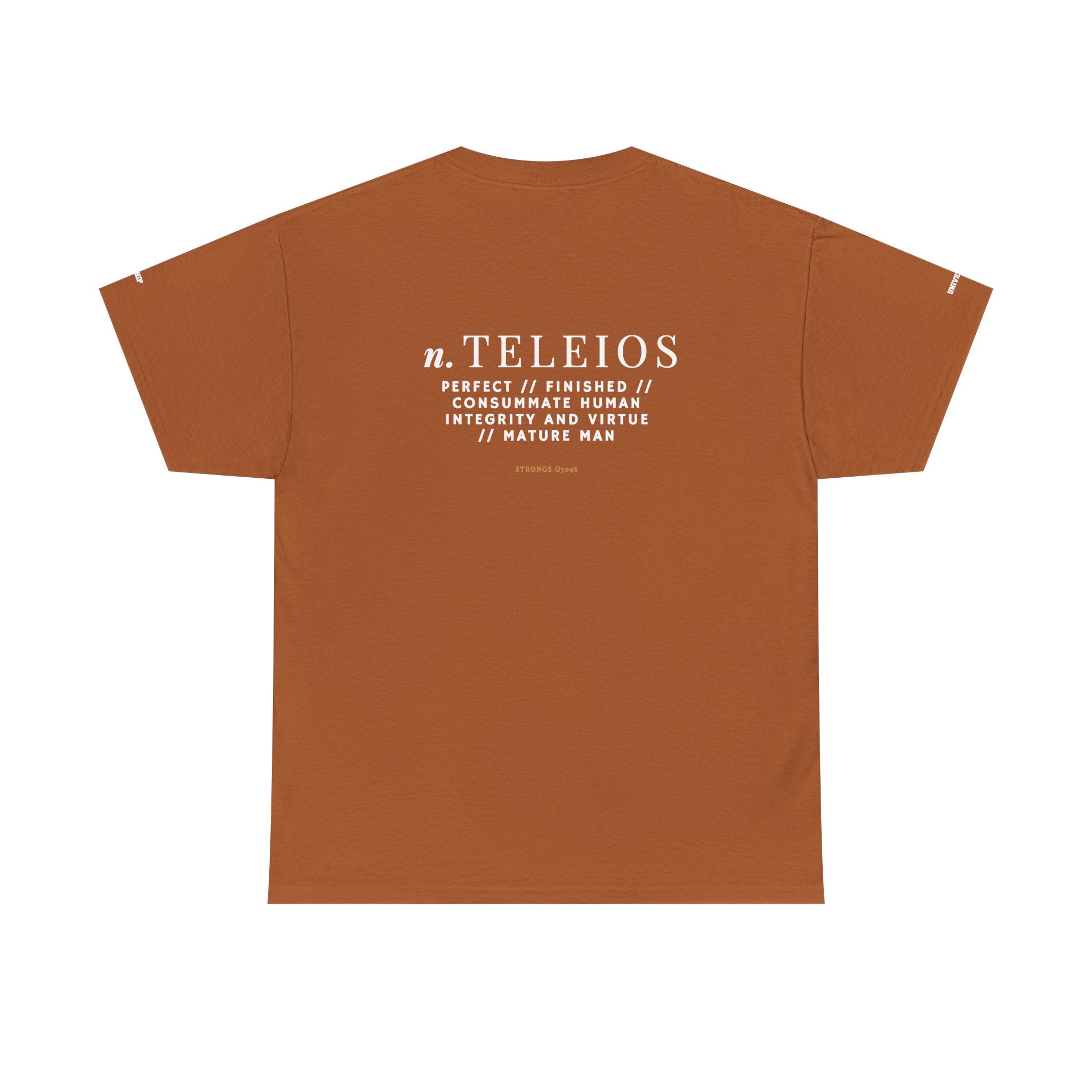 'Teleios' Unisex Minimal Graphic Tee - Christian Apparel
