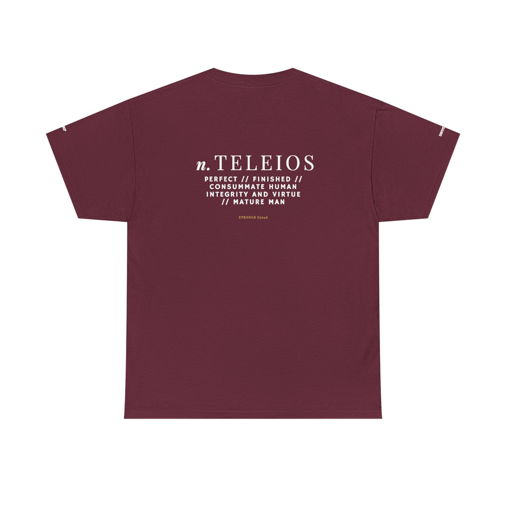 'Teleios' Unisex Minimal Graphic Tee - Christian Apparel