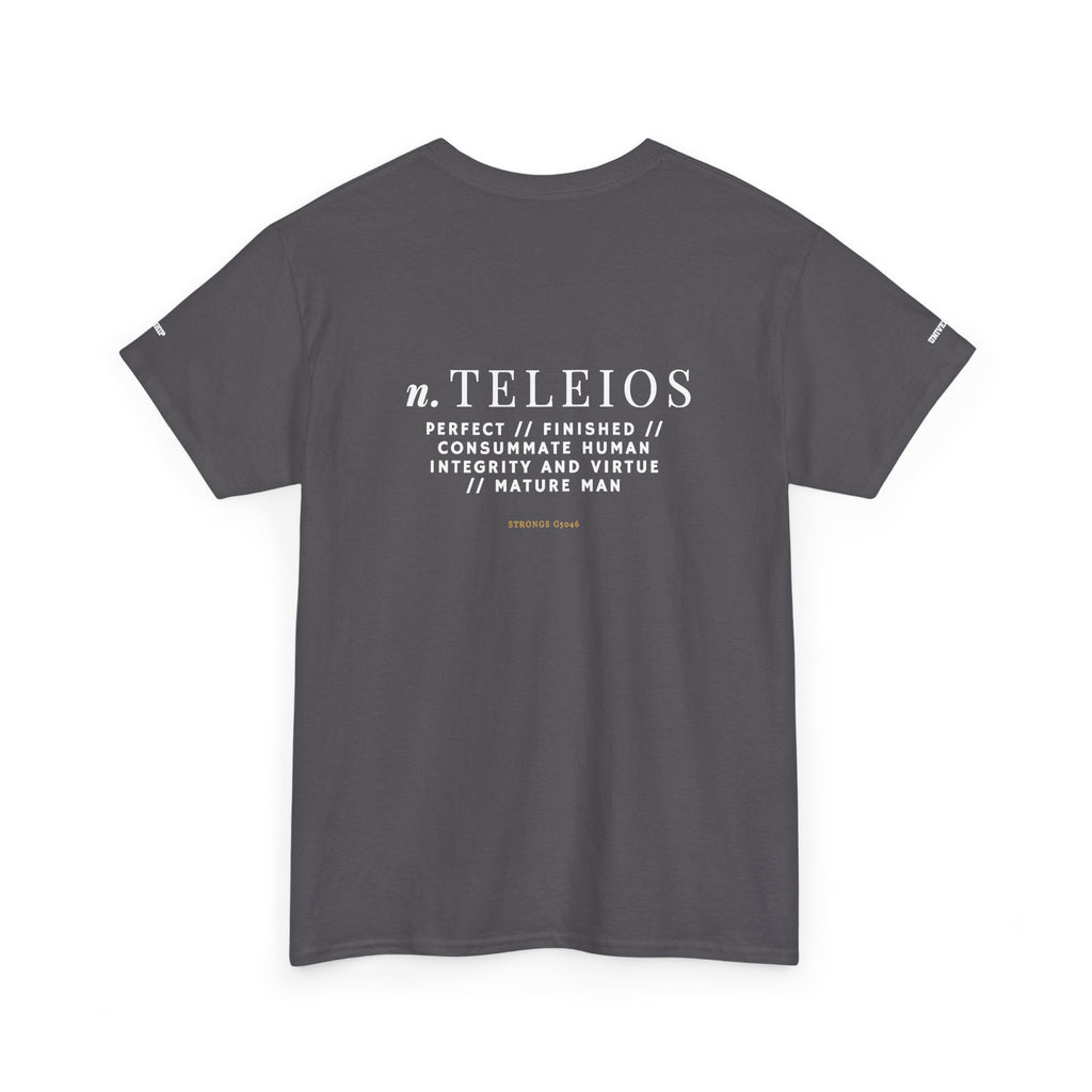 'Teleios' Unisex Minimal Graphic Tee - Christian Apparel